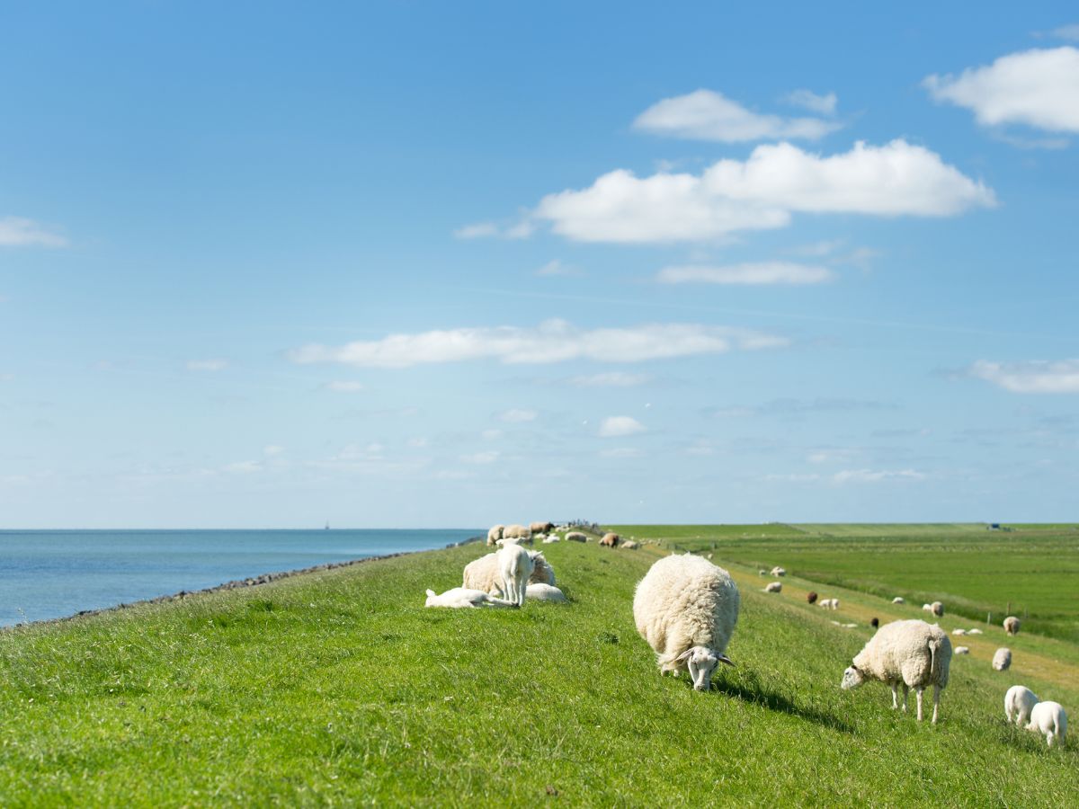 Watercrisis Waterschap Hollandse Delta Systeemtest